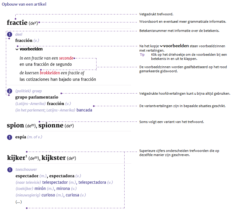 Nederlands-Spaans_artikelvenster_1.png