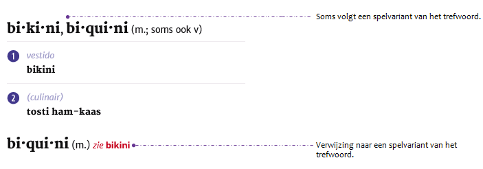 Spaans-Nederlands_artikelvenster_2.png