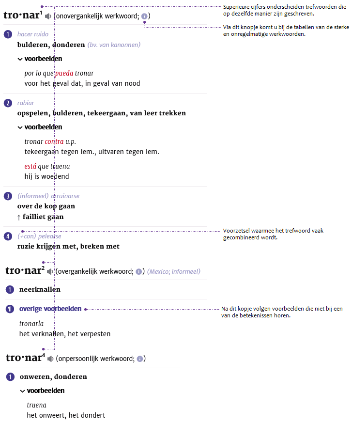 Spaans-Nederlands_artikelvenster_3.png