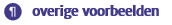 overige_voorbeelden.png