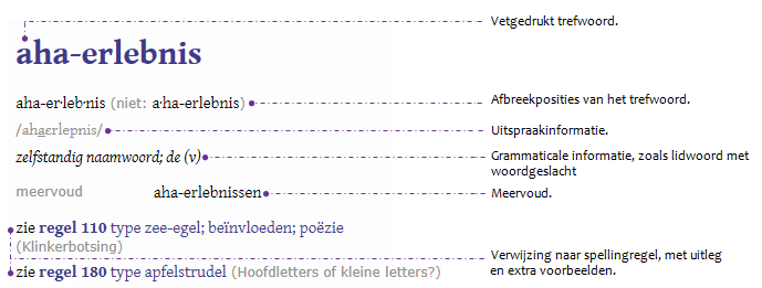 artikelvenster_Spellinghulp_1.png